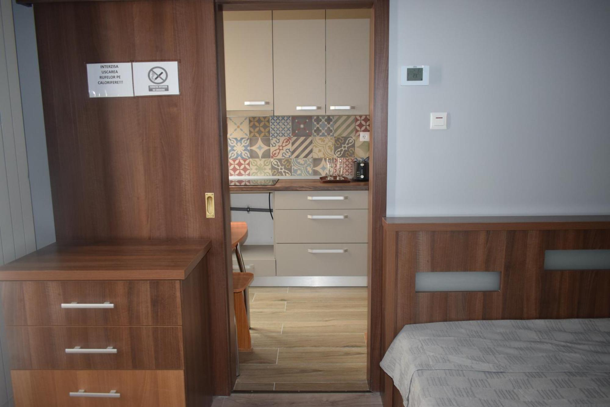 Apartament Nicolae Iorga Rhbm バイア·マーレ エクステリア 写真